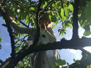 1969f3e1-2fe2-4f6d-8987-c662c0b9b50b