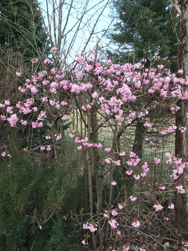 1c17e320-c861-4d84-b200-a89f3c9c09c3