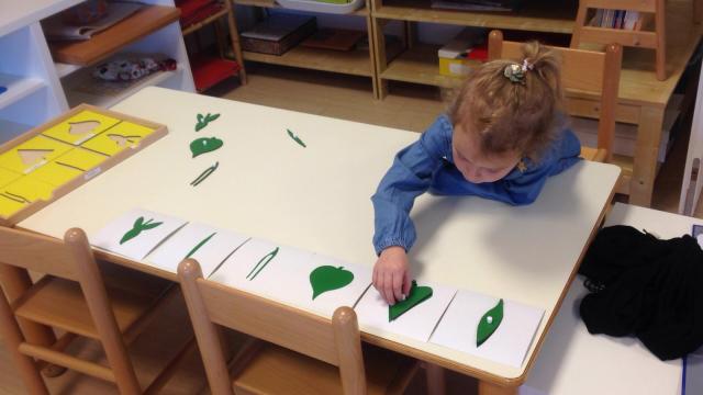 ff596727-5477-4d3b-9e11-4650ef19afb6