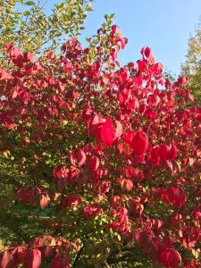 5f43e0a3-ab0d-40b3-aeab-51b52baafedb